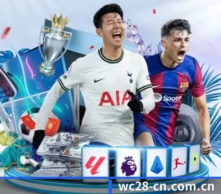 旺财28 APP 界面